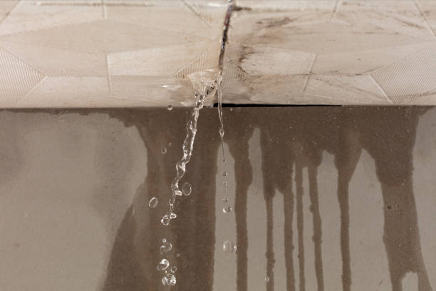 Professional Structural Drying technician working in New Tripoli, PA